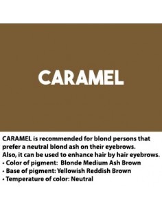 ArteStylo Ceja Caramel 2
