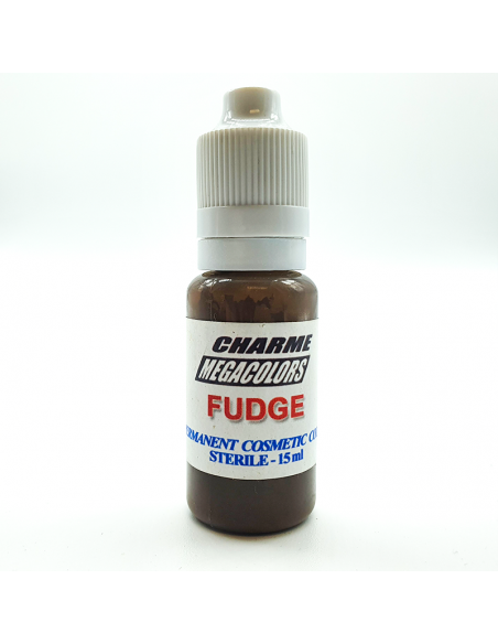 Charme International Pigments for Eyebrowns