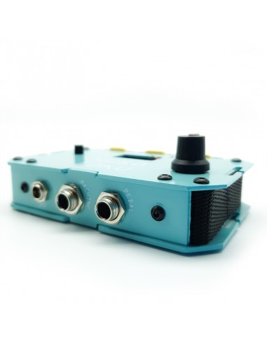 Musotoku Coral Special Edition