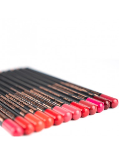 Pack 6 Lapices de Labios Tina Davies Set Envy