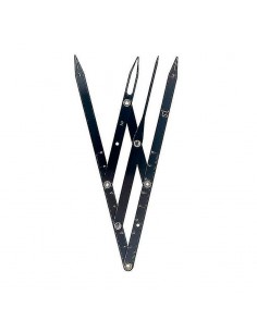 Golden Ratio Beauty 2