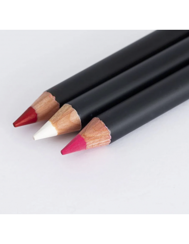 Lápiz Profesional para Diseño LABIOS 1ud