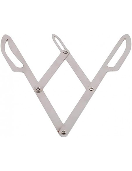 Golden Ratio Model III