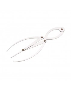 Golden Ratio Proporción Perfecta