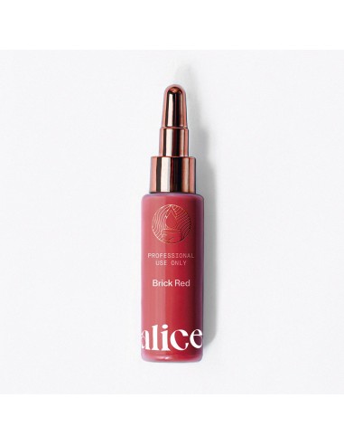 Alice Cosmetic Ink Brick Red 15ml