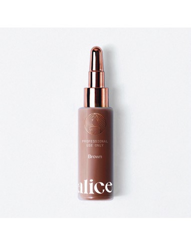 Alice Cosmetic Ink Brown 15ml