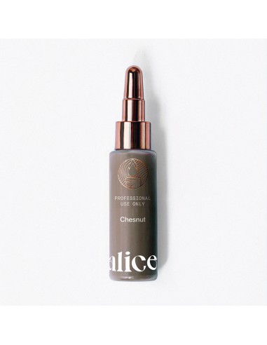Alice Cosmetic Ink Chestnut 15ml