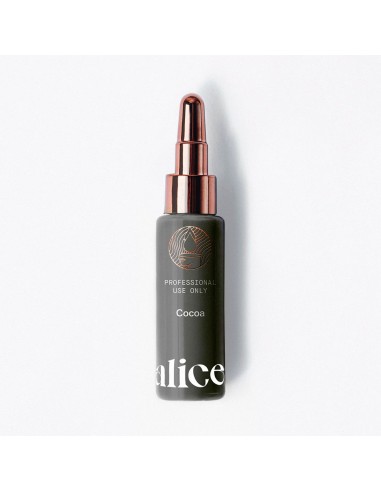 Alice Cosmetic Ink Cocoa 15ml