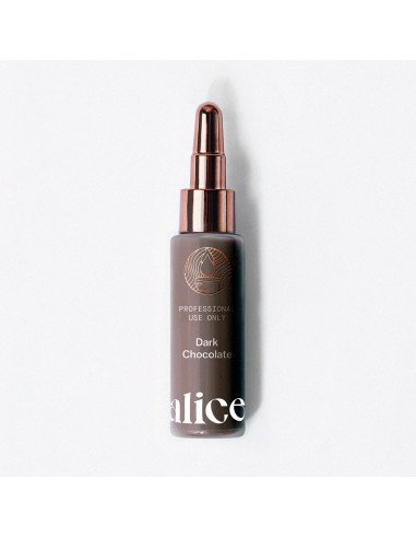 Alice Cosmetic Ink Dark Chocolate 15ml