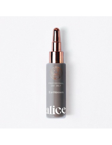 Alice Cosmetic Ink Earthbrown 15ml
