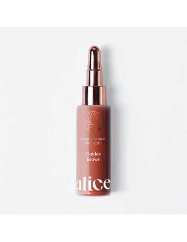 Alice Cosmetic Ink Golden Brown 15ml
