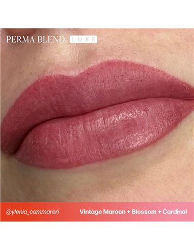 Perma Blend LUXE Cardinal 15ml