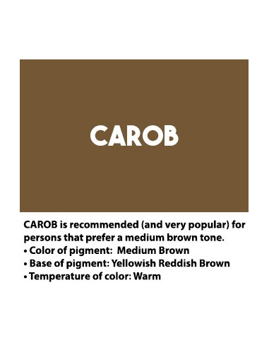 ArteStylo Ceja Carob 15ml EXPIRED